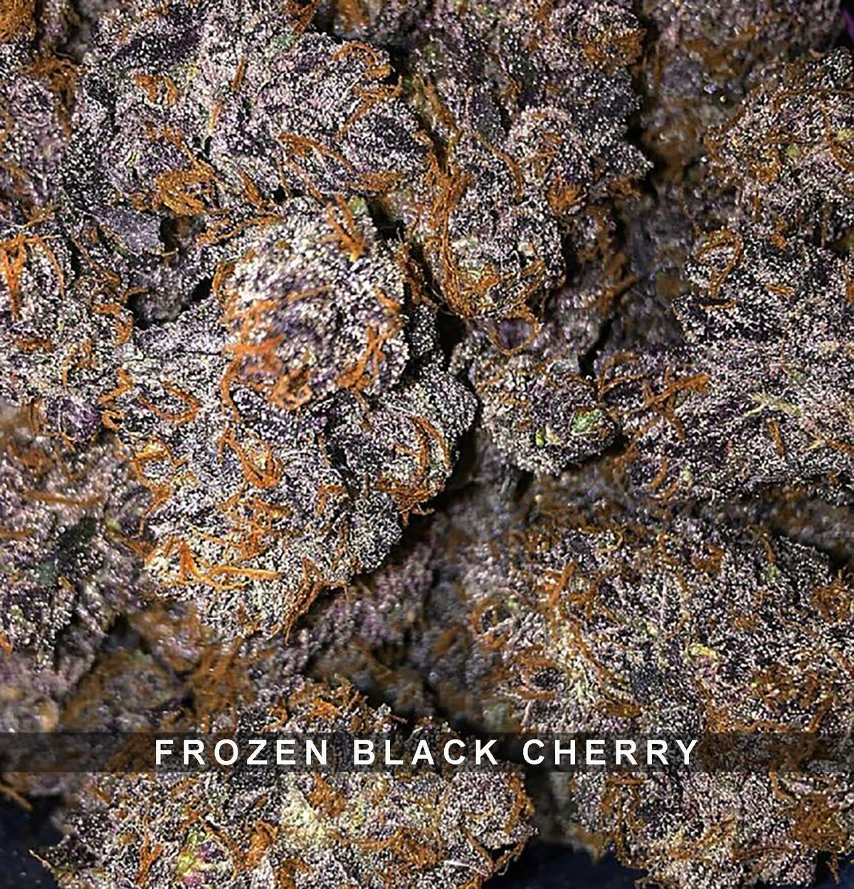 Frozen Black Cherry