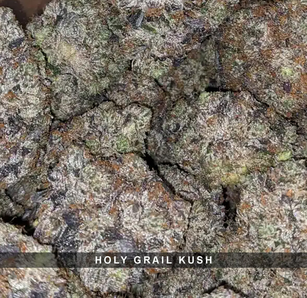 Holy Grail Kush