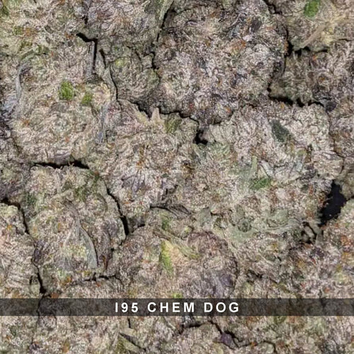 I95 Chem Dog