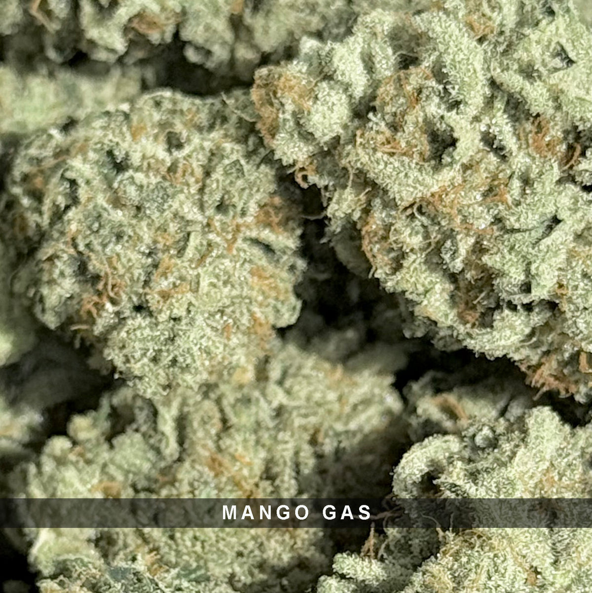 Mango Gas