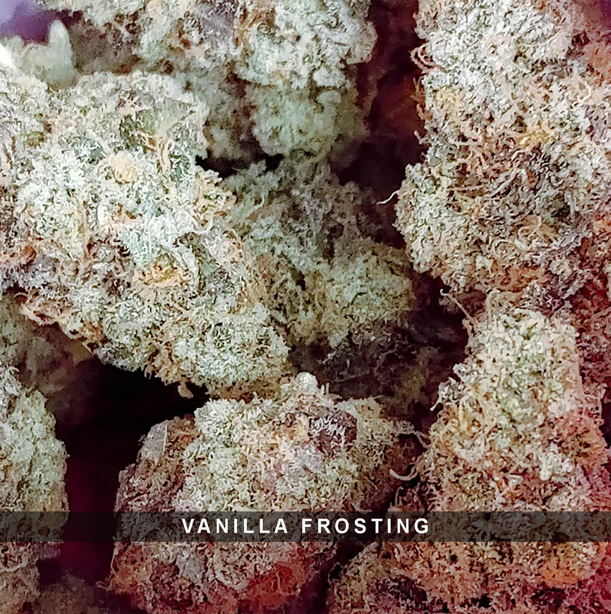 Vanilla Frosting